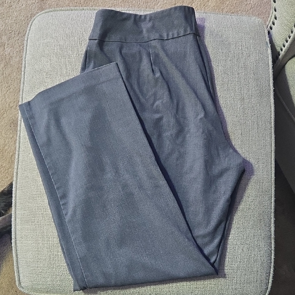 Dressbarn Womens 14W Grey Pull Up Pants